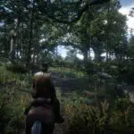 Red Dead Redemption 2 Screenshot (1)