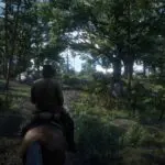 Red Dead Redemption 2 Screenshot (2)